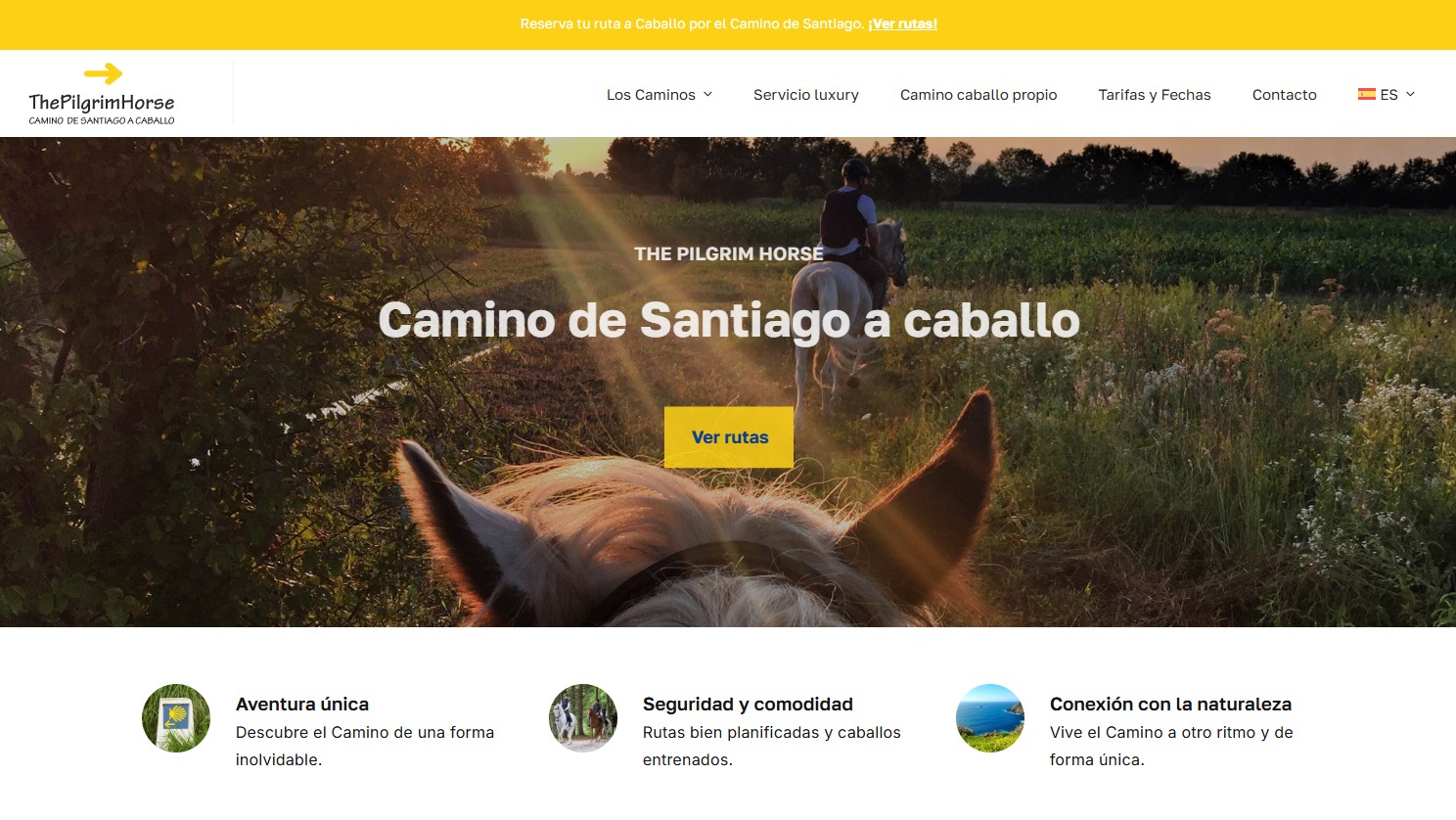 Ver web para organización camino de santiago a caballo